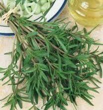 برای درمان ناتوانی جنسی مرزه مصرف کنید (2 نکته مهم)