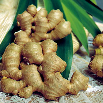 تسکینی برای یک درد زنانه  (2 نکته مهم)