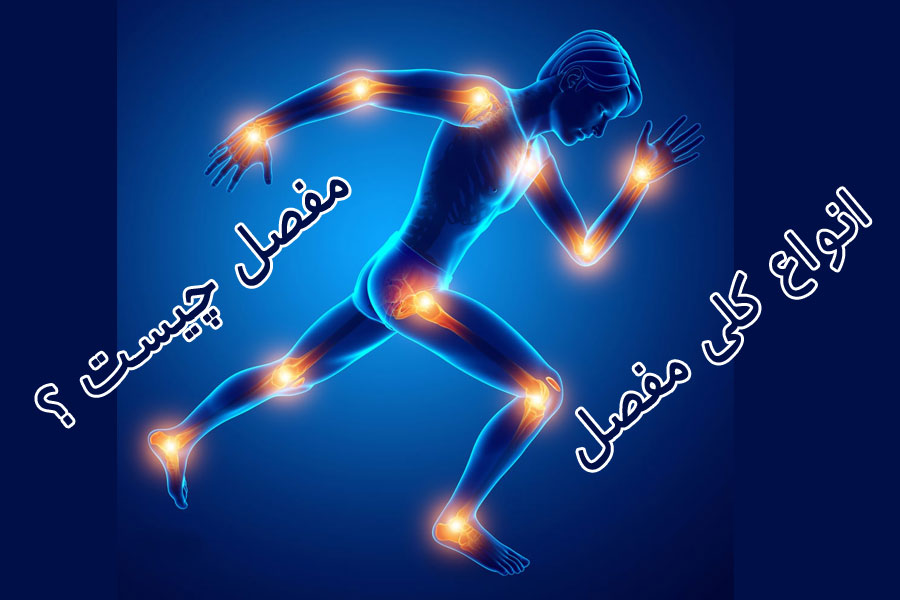 تعریف مفصل و انواع آن بر حسب ساختار و عملکرد (2 نکته مهم)