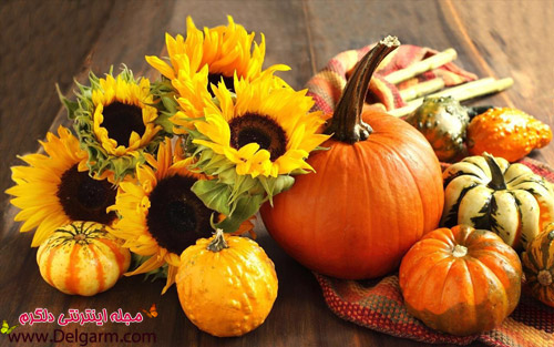 خاصیت کدو تنبل ( خیلی جالب ) (2 نکته مهم) خاصیت کدو تنبل ( خیلی جالب ) (2 نکته مهم)