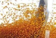 خاکشیر شفابخش  (2 نکته مهم)