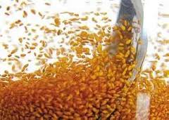 خاکشیر شفابخش (2 نکته مهم) خاکشیر شفابخش (2 نکته مهم)