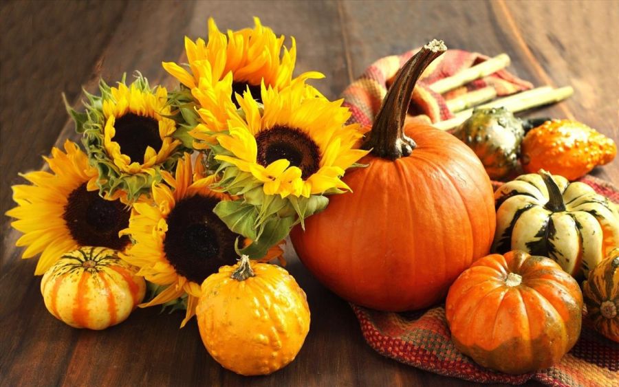 خواص بی نظیر کدو حلوایی برای کاهش وزن و لاغری (2 نکته مهم)