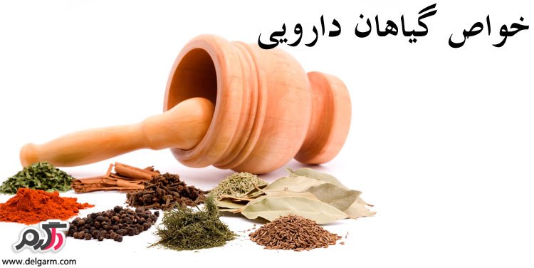 خواص ترنجبین در طب سنتی (2 نکته مهم) خواص ترنجبین در طب سنتی (2 نکته مهم)