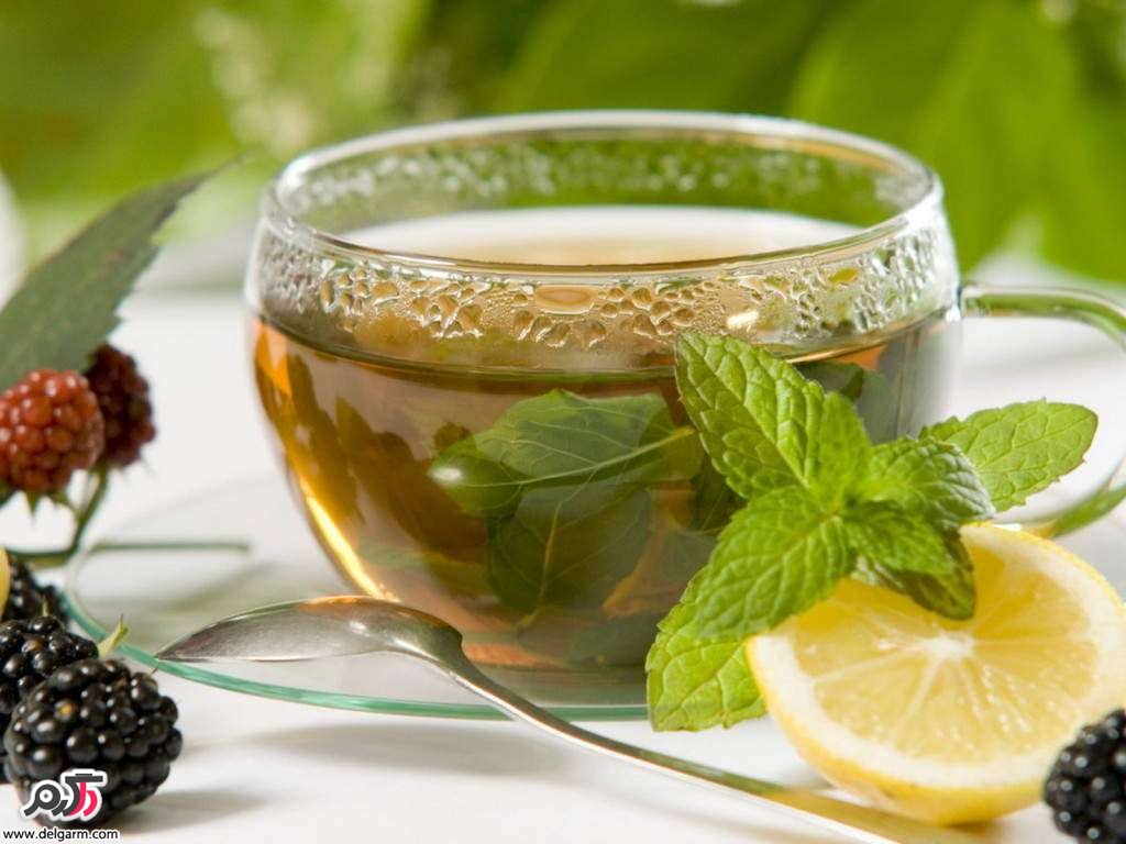 خواص دارویی و درمانی دمنوش گزنه (2 نکته مهم)