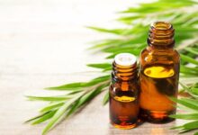 خواص دارویی و درمانی روغن درخت چای (2 نکته مهم)