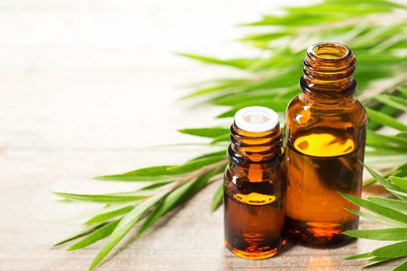 خواص دارویی و درمانی روغن درخت چای (2 نکته مهم)