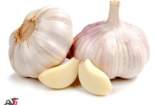 خواص دارویی و درمانی عرق سیر (2 نکته مهم)