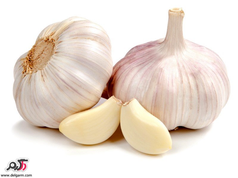 خواص دارویی و درمانی عرق سیر (2 نکته مهم) خواص دارویی و درمانی عرق سیر (2 نکته مهم)