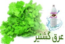 خواص دارویی و درمانی عرق گشنیز در طب سنتی (2 نکته مهم)