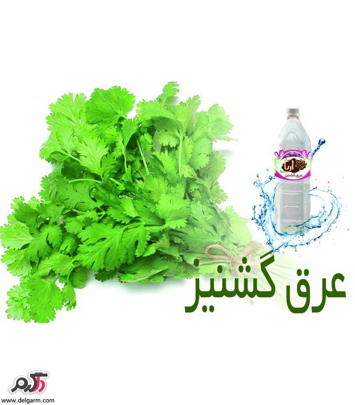 خواص دارویی و درمانی عرق گشنیز در طب سنتی (2 نکته مهم) خواص دارویی و درمانی عرق گشنیز در طب سنتی (2 نکته مهم)