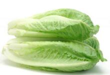 خواص درمانی قدیمیترین سبزی دنیا  (2 نکته مهم)