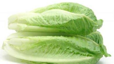 خواص درمانی قدیمیترین سبزی دنیا  (2 نکته مهم)