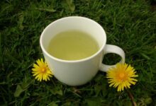 خواص قاصدک؛ ۱۵ خاصیت بی نظیر قاصدک و دمنوش قاصدک برای سلامتی (2 نکته مهم)