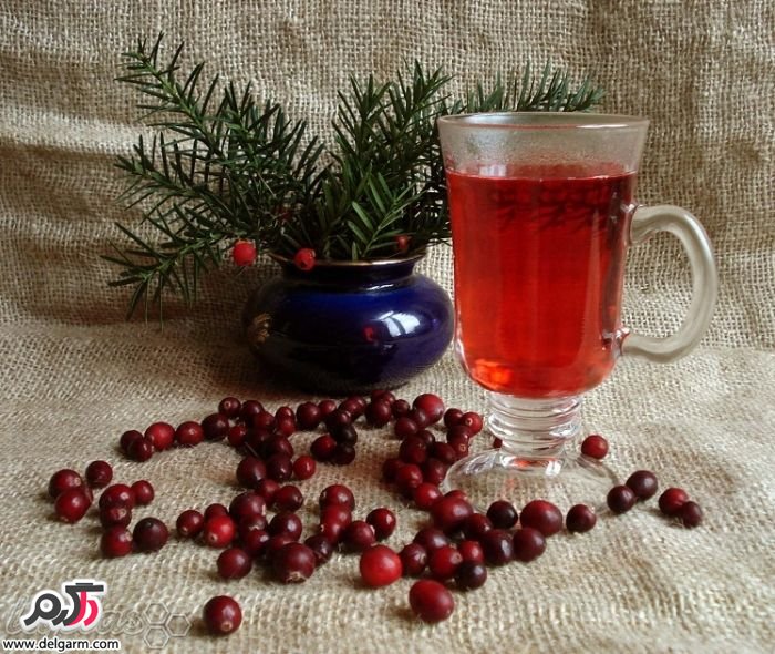 خواص معجزه آسا قره قات + طرز تهیه چای قره قات (2 نکته مهم) خواص معجزه آسا قره قات + طرز تهیه چای قره قات (2 نکته مهم)