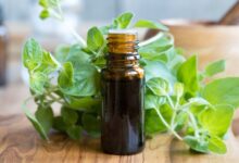 خواص و فواید بی نظیر دارویی و درمانی روغن پونه کوهی (2 نکته مهم)