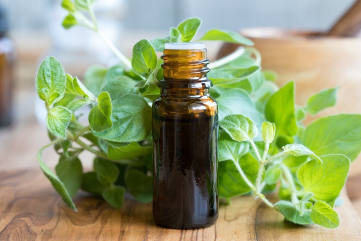 خواص و فواید بی نظیر دارویی و درمانی روغن پونه کوهی (2 نکته مهم) خواص و فواید بی نظیر دارویی و درمانی روغن پونه کوهی (2 نکته مهم)