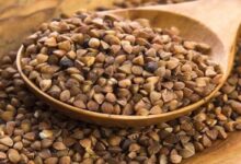 خواص و فواید بی نظیر گندم سیاه (دانه چاودار) (2 نکته مهم)