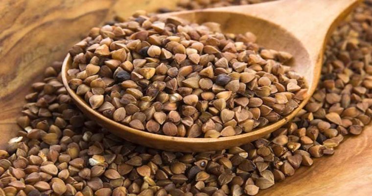 خواص و فواید بی نظیر گندم سیاه (دانه چاودار) (2 نکته مهم) خواص و فواید بی نظیر گندم سیاه (دانه چاودار) (2 نکته مهم)
