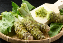 خواص و فواید مصرف ترب ژاپنی (واسابی) (2 نکته مهم)