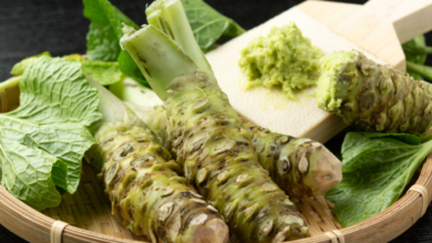 خواص و فواید مصرف ترب ژاپنی (واسابی) (2 نکته مهم)