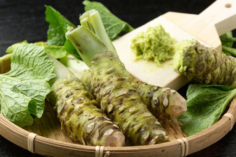 خواص و فواید مصرف ترب ژاپنی (واسابی) (2 نکته مهم)