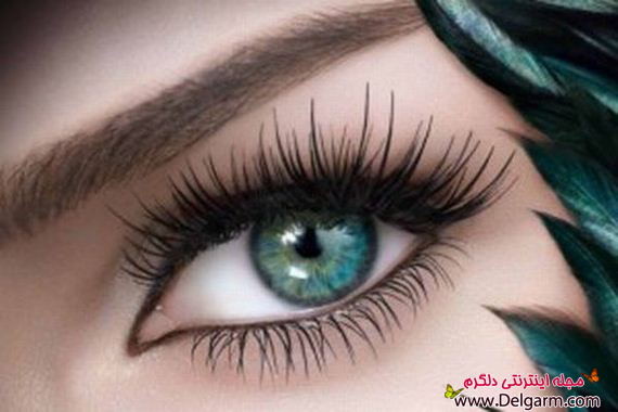 دانستنیهایی در مورد چشم (2 نکته مهم) دانستنیهایی در مورد چشم (2 نکته مهم)