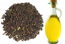 روغن اسپند (اسفند) چیست ؟ خواص بی نظیر روغن اسپند کدامند ؟ (2 نکته مهم)