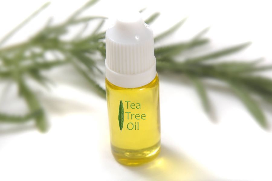 روغن تی تری چیست و چه فوایدی دارد؟ (2 نکته مهم)