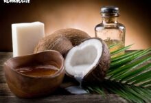روغن نارگیل برای قلب مفید نیست  (2 نکته مهم)