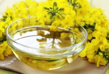 روغن کانولا چیست؟ تفاوت کانولا و کلزا (2 نکته مهم)