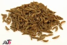 زیره چه خواصی دارد +طرز تهیه ی چایی زیره و تاثیر آن بر لاغری (2 نکته مهم)