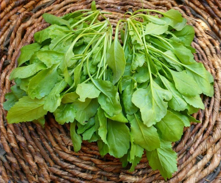 سبزی شاهی چه خاصیتی دارد؟ (2 نکته مهم) سبزی شاهی چه خاصیتی دارد؟ (2 نکته مهم)