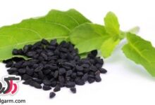 سياه دانه و نحوه مصرف آن (2 نکته مهم)