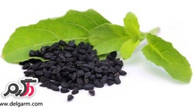 سياه دانه و نحوه مصرف آن (2 نکته مهم)