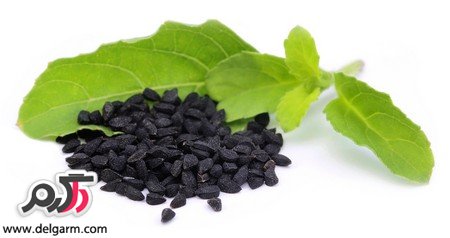 سياه دانه و نحوه مصرف آن (2 نکته مهم)