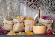 ضرورت استفاده از گیاهان دارویی برای سلامتی بدن (2 نکته مهم)