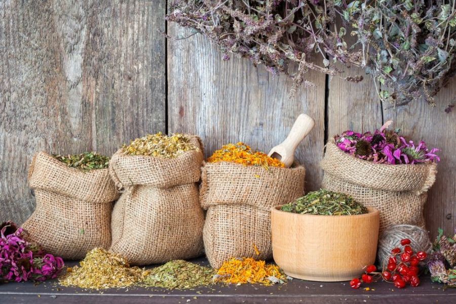 ضرورت استفاده از گیاهان دارویی برای سلامتی بدن (2 نکته مهم)