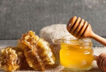 عسل اقاقیا چیست و چه خاصیتی دارد؟ (2 نکته مهم)