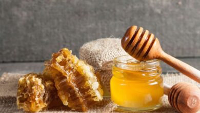 عسل اقاقیا چیست و چه خاصیتی دارد؟ (2 نکته مهم)