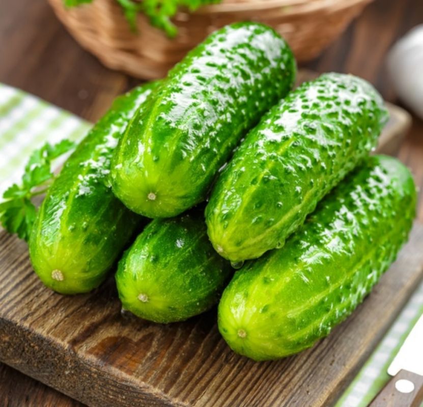 فرق بین خیار جالیز و گلخانه ای در چیست؟ (2 نکته مهم) فرق بین خیار جالیز و گلخانه ای در چیست؟ (2 نکته مهم)