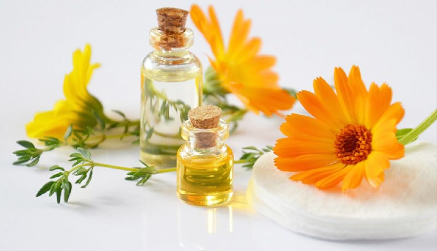 فواید بی نظیر گل کالاندولا برای سلامت بدن (2 نکته مهم)