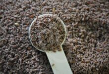 فواید دارویی و درمانی گیاه اسفرزه و تاثیر این گیاه برای لاغری (2 نکته مهم)