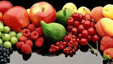 فواید دیورتیک های طبیعی برای سلامت بدن و کاهش وزن (2 نکته مهم)
