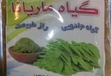فواید مصرف پودر گیاهی ماریانا برای بانوان (2 نکته مهم)