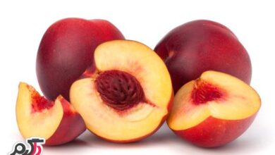 لاغری و کاهش سریع وزن با شلیل (2 نکته مهم)