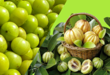 لاغری و کاهش وزن با گارسینیا کامبوجیا (2 نکته مهم)
