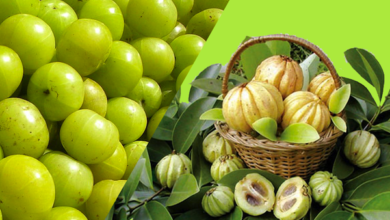 لاغری و کاهش وزن با گارسینیا کامبوجیا (2 نکته مهم)