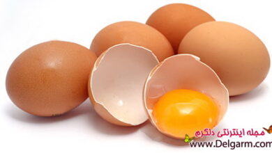معجزه تخم مرغ در رژیم لاغری (2 نکته مهم)