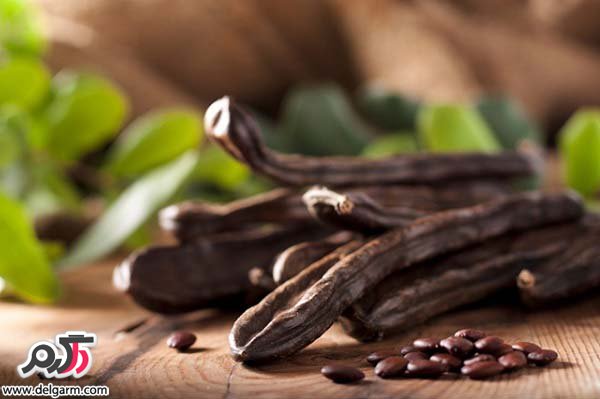 موارد مصرف و فواید دارویی و درمانی معجزه آسای گیاه خرنوب  (2 نکته مهم)